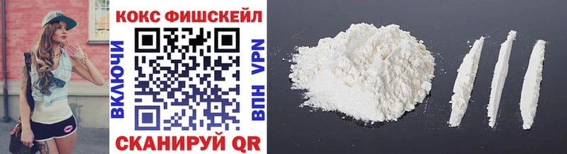 где купить   MEGA маркетплейс  Cocaine Fish Scale  Жиздра 